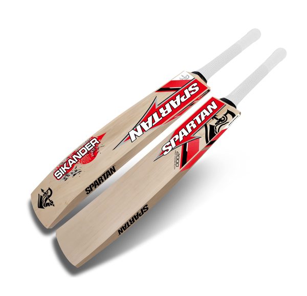 Kashmir Willow Cricket Bat